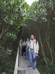 Boardwalk at Mangrove Mai Po
_W7Z6829-01