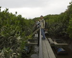 Floating Boardwalk at Mangrove Mai Po
_W7Z6831-01