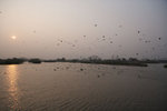 _P1B6593 - Version 2