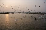 _P1B6617 - Version 2