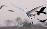 _P1B6679 - Version 2