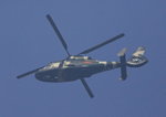 Bird of steel
_W7Z8053-01