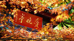 Autumn-Admiring Pavilion