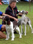 PICT2227