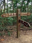 to shing mun