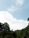 PICT9763e