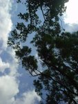 DSC01725