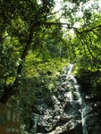 PICT6025