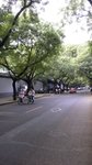 P1110514e