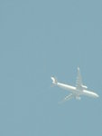 cx ...b777 744 or a330?