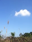 天氣好似幾好