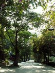 PICT9683e