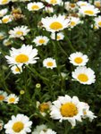 PICT0046e