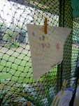 PICT2165e