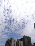 P1140091e