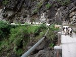 just follow me!!