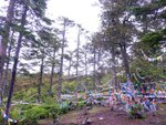 arrive 埡口(3650m)