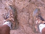wt a muddy