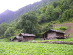 a natural village