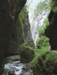 the gorge of Shangri-la