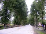 the way to Tagong