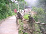 just beside the walkway