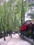 i booked the air ticket back to Shenzhen that night, so i spent a day to walk around Chengdu