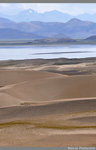 desertification?