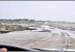 the conditions of the road is not so good...majority of them were crushed