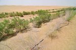 the irrigation system of desert