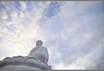 the Buddha Statue