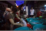 choosing seafood