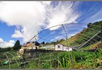a farm beside our living place