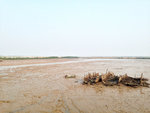 wetland beside Dianbai