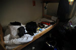 long time no see youth hostel...