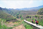 the rice terraces at Longsheng are magnificent