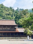 Izumo-taisha