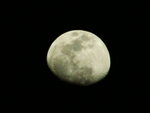 PICT6978 9/5