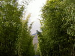 PICT0808