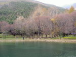 PICT0824