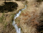 PICT0989