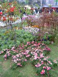 PICT5455