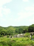 PICT6885