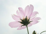 P3250011z