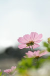 PICT0025z