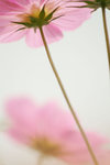 PICT0029z