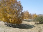 IMG_0701