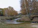 IMG_0740