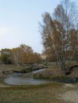 IMG_0741