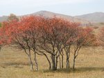 IMG_0755
